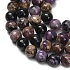 Natural Charoite Beads Strands G-G300-A01-10mm-3