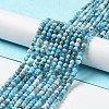 Natural Apatite Beads Strands G-J400-E04-01-2