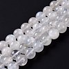 Natural Rainbow Moonstone Beads Strands G-I249-B04-06-1