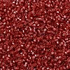 MIYUKI Delica Beads SEED-MY11-DB2159-2