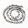 Natural Dalmatian Jasper Beads Strands X-GSR4mmC004-3