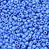 8/0 Glass Seed Beads X1-SEED-A010-3mm-43B-2