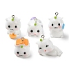 Opaque Resin Cartoon Pendants CRES-Z004-04-1