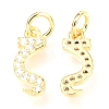 Brass Micro Pave Cubic Zirconia Charms ZIRC-O037-19G-2