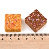 Opaque Resin Imitation Food Cabochons CRES-D329-02-3