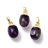 Natural Amethyst Pendants G-F712-03D-G-1