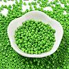 Baking Paint Glass Seed Beads SEED-H002-I-A510-2