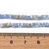 Electroplate Glass Beads Strands EGLA-F121-FR-B08-4