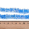 Handmade Lampwork Beads Strands LAMP-N028-03B-4