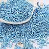 Baking Paint Glass Seed Beads X-SEED-S042-15B-28-1