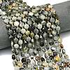 Natural Eagle Eye Stone Beads Strands G-C116-A41-02-1