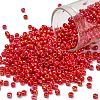 TOHO 8/0 Round Beads SEED-TR08-0405-1