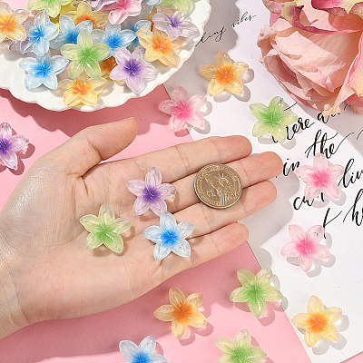50Pcs 5 Colors Transparent Resin Cabochons RESI-SC0006-24-1
