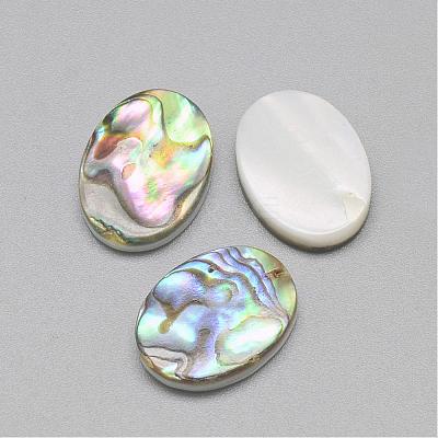 Paua Shell Cabochons SSHEL-R042-20-1