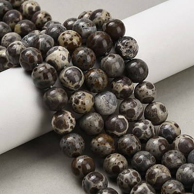 Natural Astroite Jasper Beads Strands G-F814-A01-8mm-1