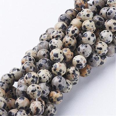 Natural Dalmatian Jasper Beads Strands GSR004-1