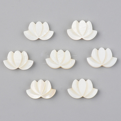 Natural Freshwater Shell Beads X-SHEL-S276-103-1