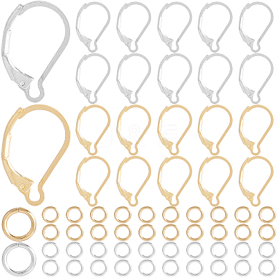 80Pcs 2 Color 304 Stainless Steel Leverback Earring Findings STAS-SP0001-19-1
