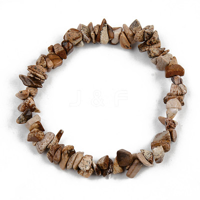 Unisex Chip Natural Picture Jasper Beaded Stretch Bracelets BJEW-S143-29-1