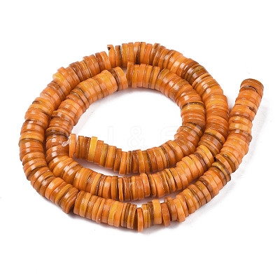 Natural Freshwater Shell Beads Strands BSHE-I016A-01G-1