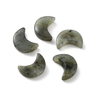 Natural Labradorite Beads X-G-NH0001-01D-1