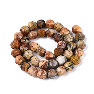 Natural Crazy Agate Beads Strands G-Q608-08A-05-1