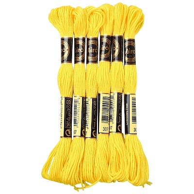 6Bundles Polyester Embroidery Floss OCOR-YW0001-25H-1