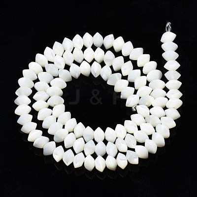 Natural Trochid Shell/Trochus Shell Bead Strands SSHEL-N034-134-1