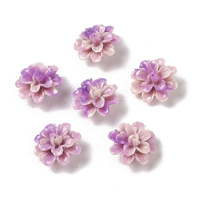 Synthetic Shell Dyed Beads SHEL-C006-01C-1