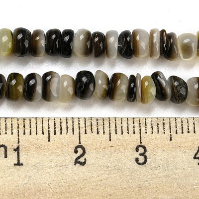 Natural Black Lip Shell Beads Strands BSHE-Z005-06-1