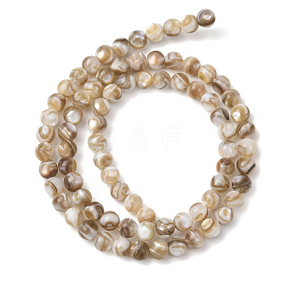Natural Freshwater Shell Beads Strands SHEL-K006-71B-1