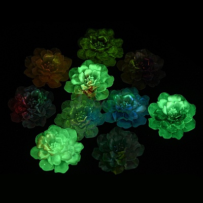 Luminous Transparent Epoxy Resin Decoden Cabochons CRES-M032-04B-1