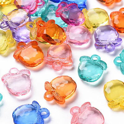 Transparent Acrylic Pendants TACR-S154-28B-1