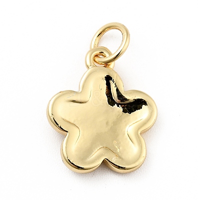 Rack Plating Brass Enamel Charms KK-G387-09G-07-1
