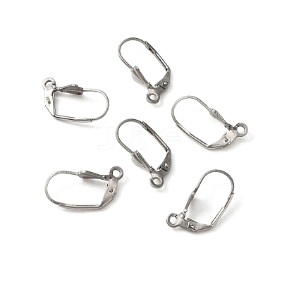 316 Surgical Stainless Steel Leverback Earring Findings STAS-WH0022-70-1