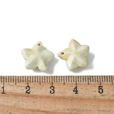 Natural Rainbow Alashan Agate Charms G-G194-02C-1