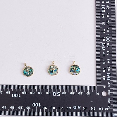 5Pcs Natural Abalone Shell/Paua Shell Pendants KK-SZ0002-38B-1