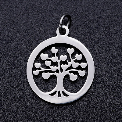 304 Stainless Steel Pendants STAS-T046-JA350-1A-P-1