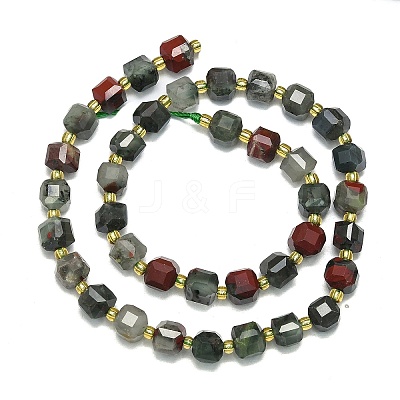 Natural Africa Bloodstone Beads Strand G-I376-D75-01-1