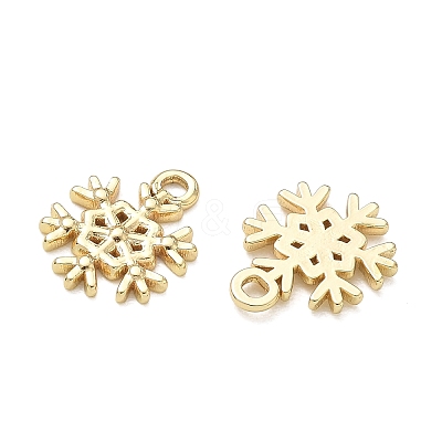 304 Stainless Steel Charms SA-CBA3037-12G-1