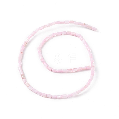 Natural Freshwater Shell Dyed Beads Strands SHEL-M018-12-09-1
