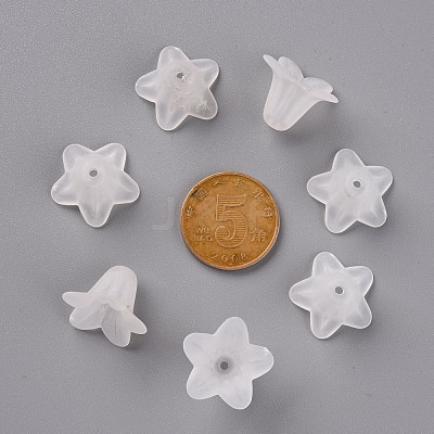 Transparent Acrylic Beads PLF018-01-1