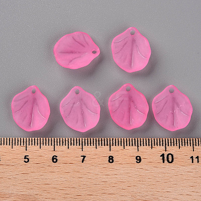 Transparent Frosted Acrylic Pendants MACR-S371-02A-704-1