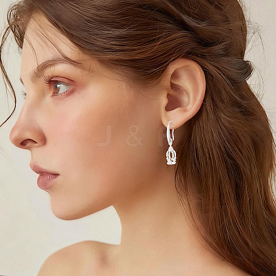 10 Pairs Brass Earring Hooks KK-BBC0027-77C-1