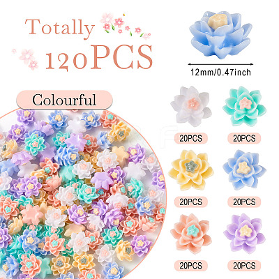 120Pcs 6 Colors Opaque Resin Cabochons CRES-TA0001-28-1