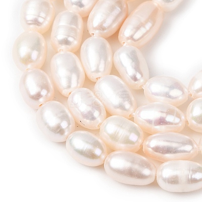 Natural Cultured Freshwater Pearl Beads Strands PEAR-F020-03-1