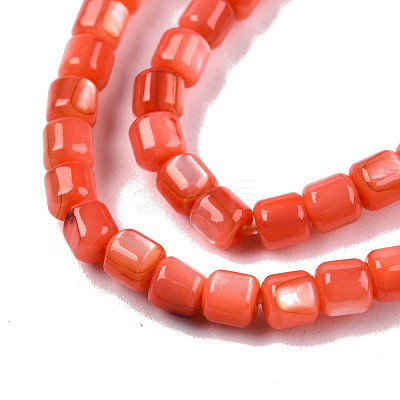 Natural Freshwater Shell Beads Strands SHEL-N003-33-A06-1