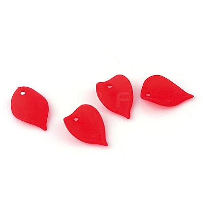 Transparent Acrylic Pendants FACR-Q009-20-1