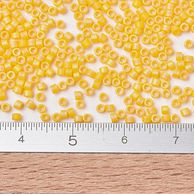 MIYUKI Delica Beads X-SEED-J020-DB1592-1