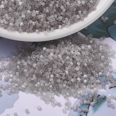 MIYUKI Delica Beads X-SEED-J020-DB0822-1